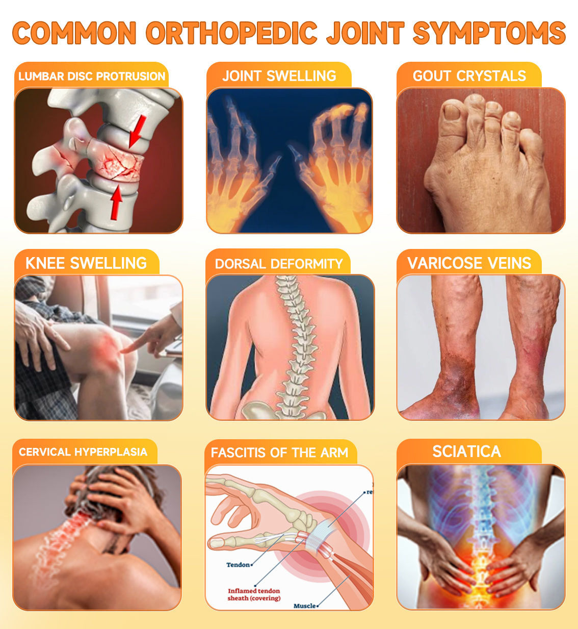 Lotmay® Bee Venom Pain Relief Joint Repair Cream 🐝🐝(Specially for older adults & FDA commends)